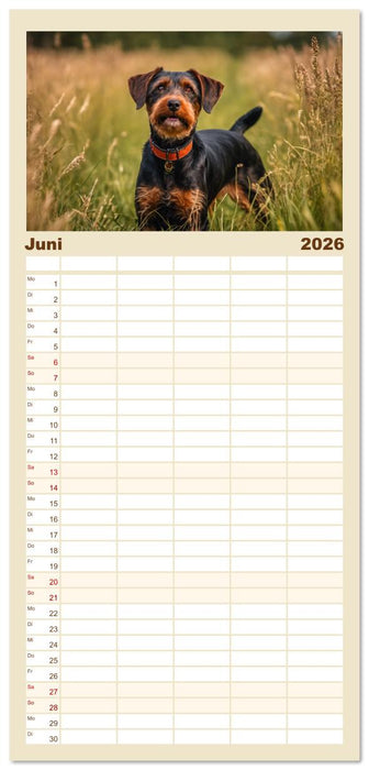 Treue Jagdbegleiter (CALVENDO Familienplaner 2026)