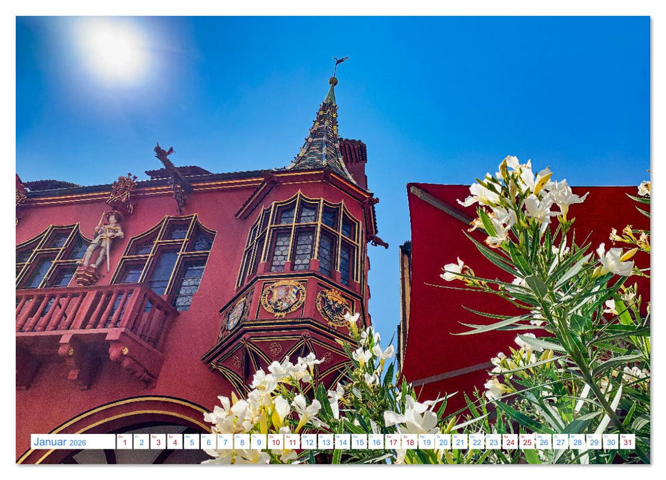 Freiburg - geht immer (CALVENDO Wandkalender 2026)