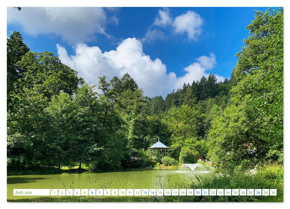 Freiburg - geht immer (CALVENDO Wandkalender 2026)