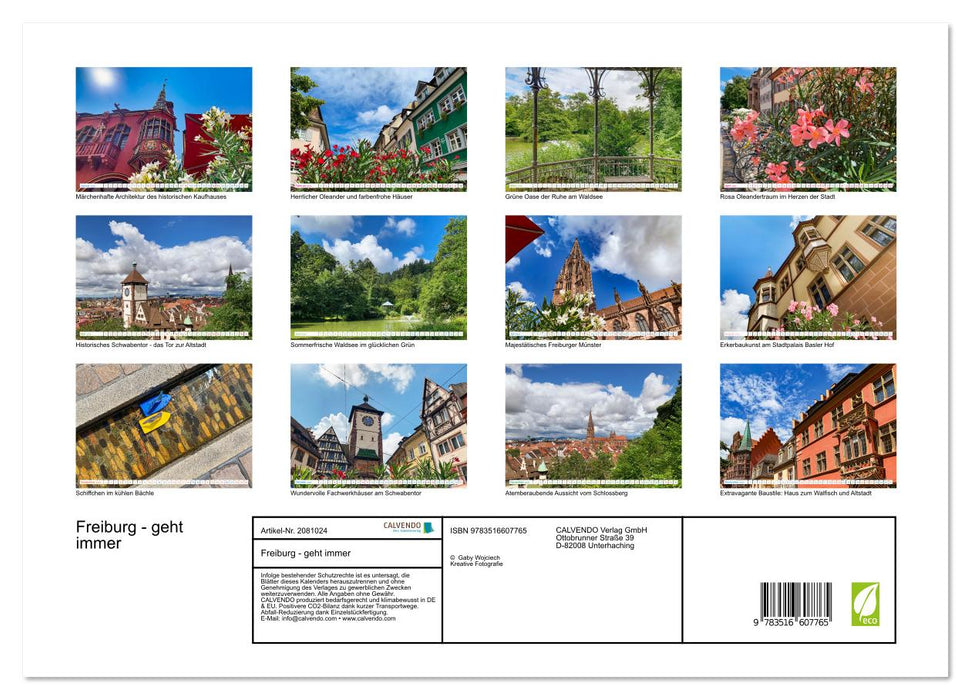 Freiburg - geht immer (CALVENDO Premium Wandkalender 2026)