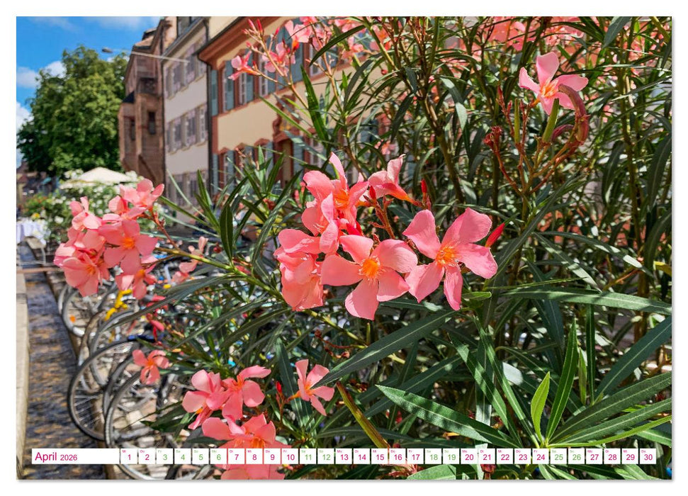 Freiburg - geht immer (CALVENDO Premium Wandkalender 2026)