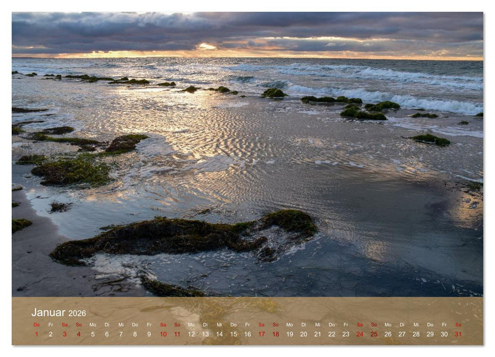 Faszination Hiddensee (CALVENDO Wandkalender 2026)