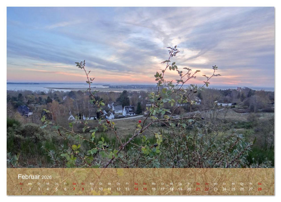 Faszination Hiddensee (CALVENDO Wandkalender 2026)