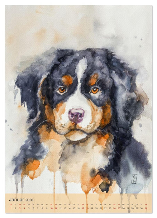 Tiere in Aquarell portraitiert (CALVENDO Wandkalender 2026)