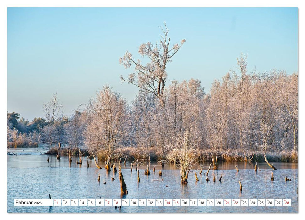 Impressionen aus dem Moor (CALVENDO Wandkalender 2026)