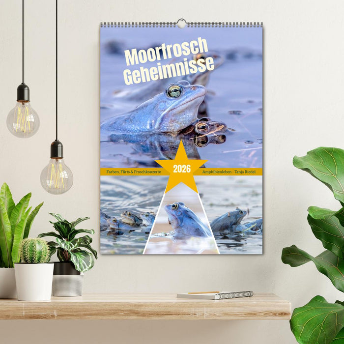 Moorfrosch Geheimnisse – Farben, Flirts & Froschkonzerte - Tanja Riedel (CALVENDO Wandkalender 2026)