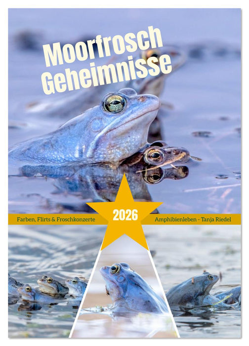 Moorfrosch Geheimnisse – Farben, Flirts & Froschkonzerte - Tanja Riedel (CALVENDO Wandkalender 2026)