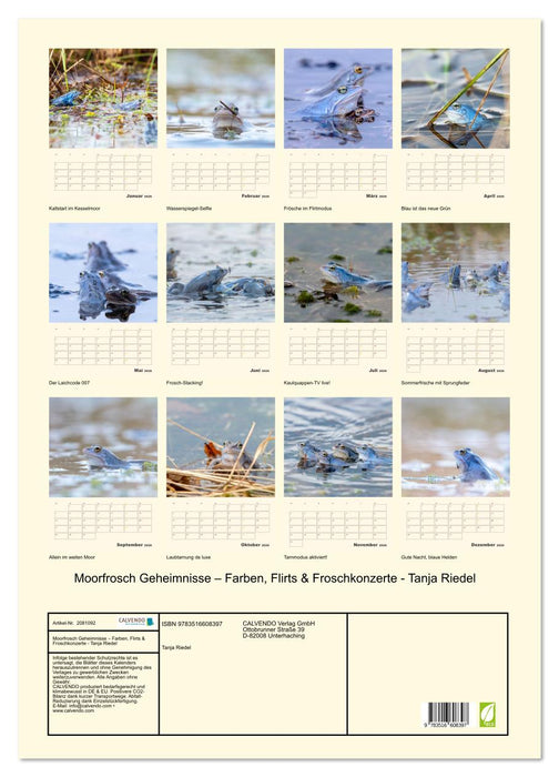 Moorfrosch Geheimnisse – Farben, Flirts & Froschkonzerte - Tanja Riedel (CALVENDO Wandkalender 2026)