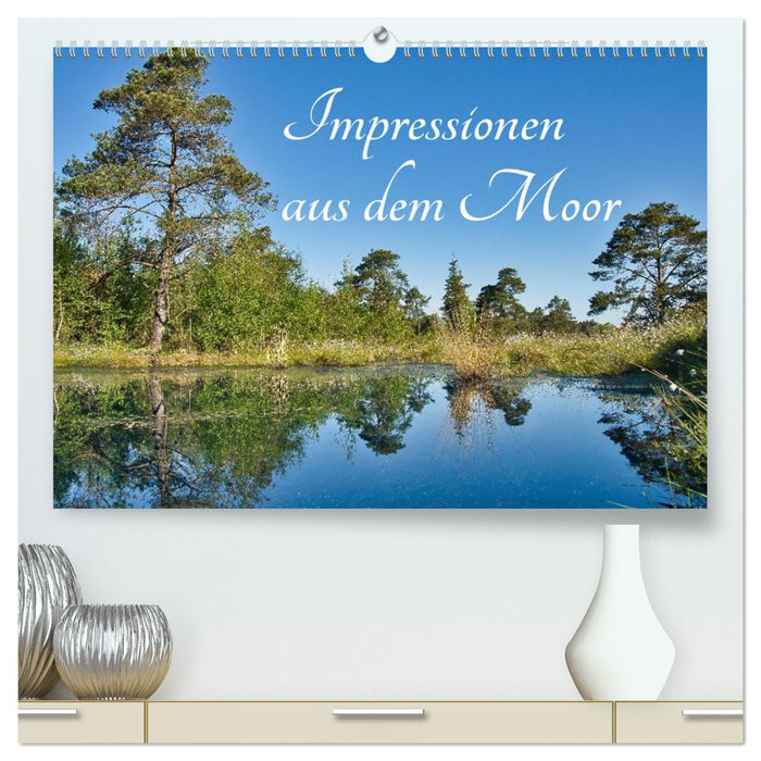 Impressionen aus dem Moor (CALVENDO Premium Wandkalender 2026)
