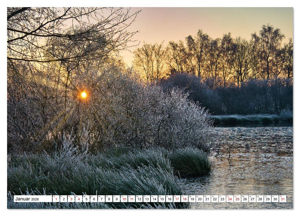 Impressionen aus dem Moor (CALVENDO Premium Wandkalender 2026)