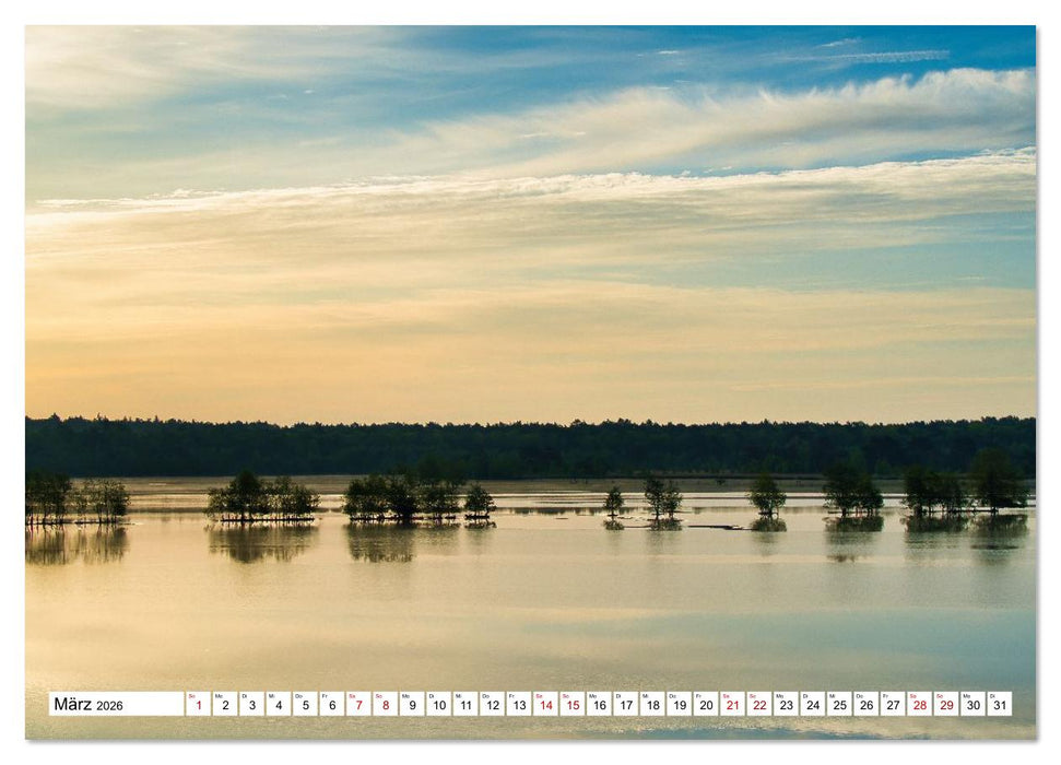 Impressionen aus dem Moor (CALVENDO Premium Wandkalender 2026)