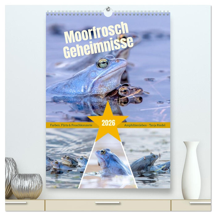 Moorfrosch Geheimnisse – Farben, Flirts & Froschkonzerte - Tanja Riedel (CALVENDO Premium Wandkalender 2026)