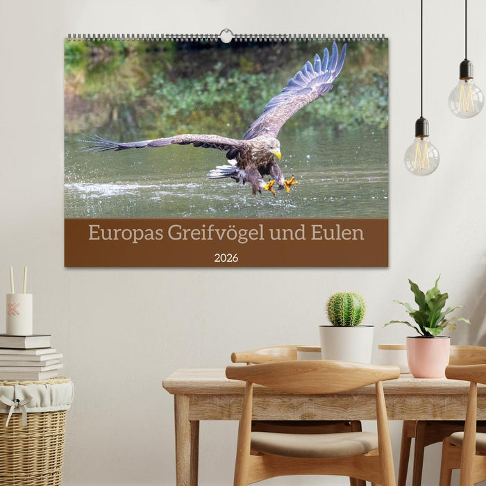 Europas Greifvögel und Eulen (CALVENDO Wandkalender 2026)