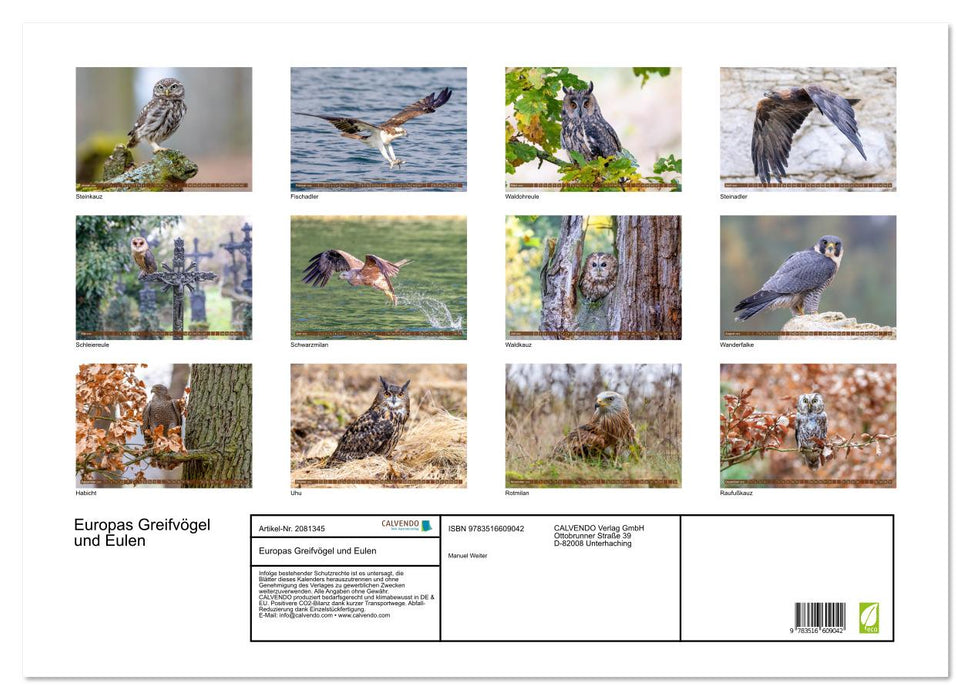 Europas Greifvögel und Eulen (CALVENDO Wandkalender 2026)