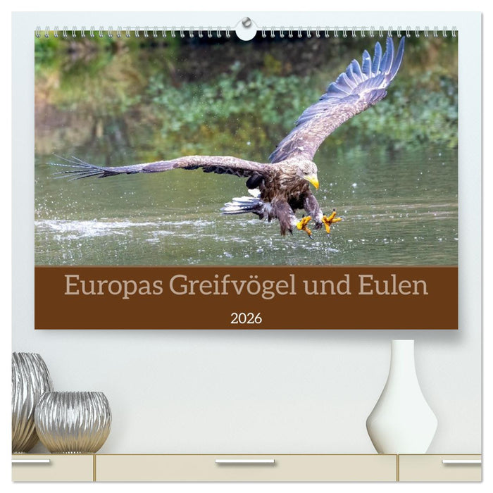Europas Greifvögel und Eulen (CALVENDO Premium Wandkalender 2026)