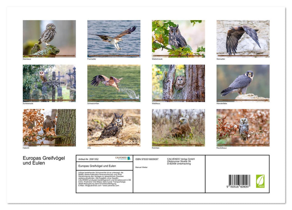 Europas Greifvögel und Eulen (CALVENDO Premium Wandkalender 2026)