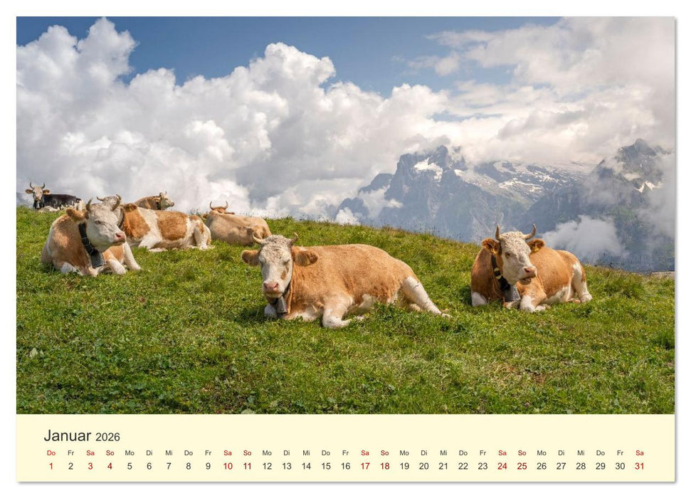 Schweiz - Die grüne Lunge Europas (CALVENDO Wandkalender 2026)