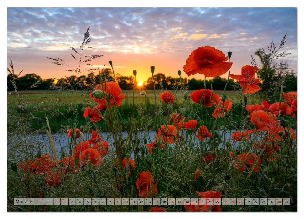 725 Jahre Börnicke (CALVENDO Premium Wandkalender 2026)