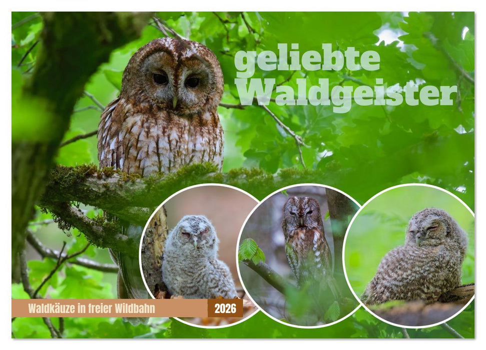 geliebte Waldgeister (CALVENDO Wandkalender 2026)