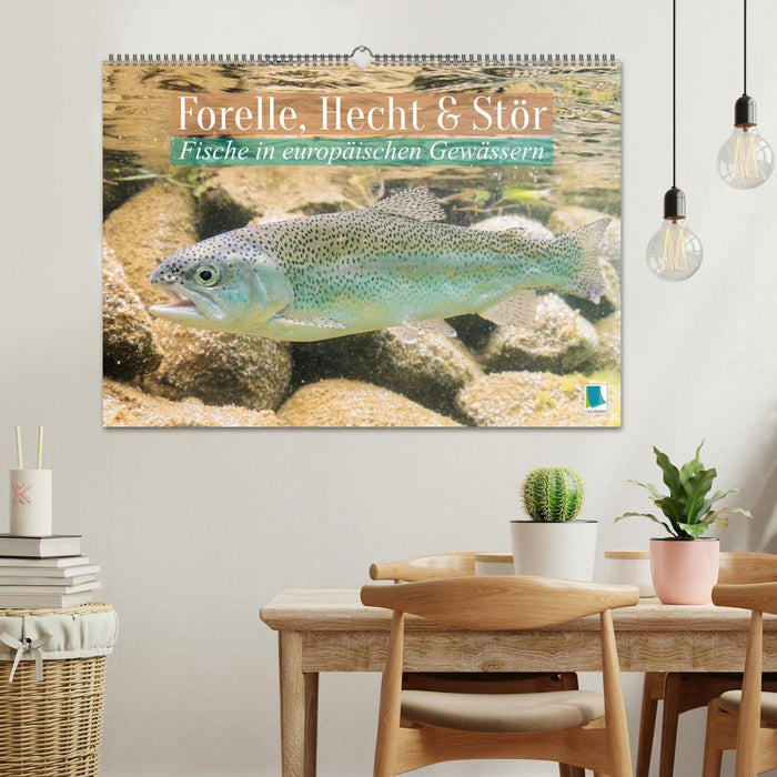 Forelle, Hecht und Stör: Fische in europäischen Gewässern (CALVENDO Wandkalender 2026)