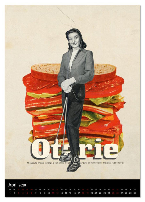 Ansichtssachen (CALVENDO Premium Wandkalender 2026)