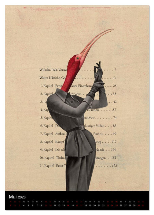 Ansichtssachen (CALVENDO Premium Wandkalender 2026)