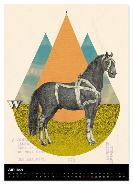 Ansichtssachen (CALVENDO Premium Wandkalender 2026)