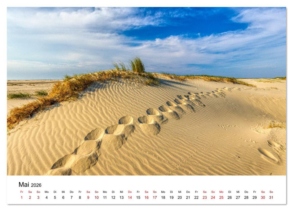 Insel Borkum - Ein Jahr zwischen Wind und Wellen (CALVENDO Wandkalender 2026)