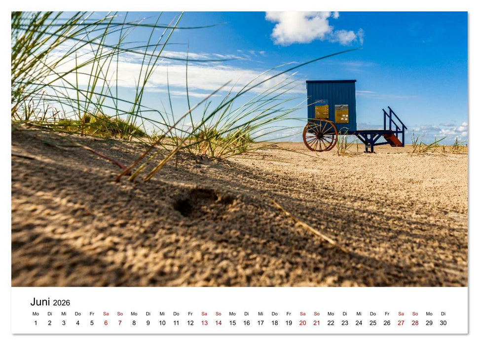 Insel Borkum - Ein Jahr zwischen Wind und Wellen (CALVENDO Wandkalender 2026)