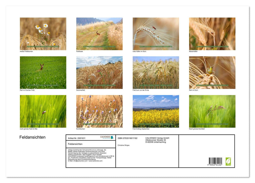 Feldansichten (CALVENDO Wandkalender 2026)