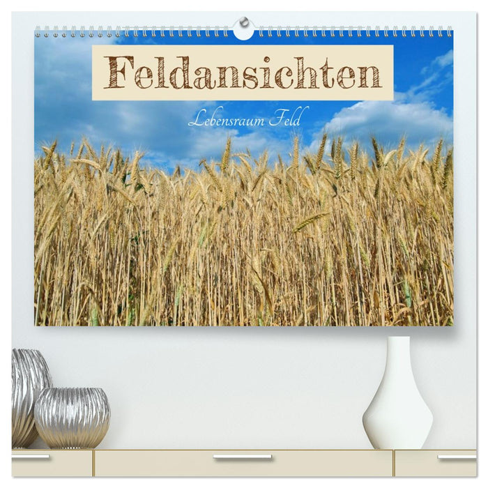Feldansichten (CALVENDO Premium Wandkalender 2026)