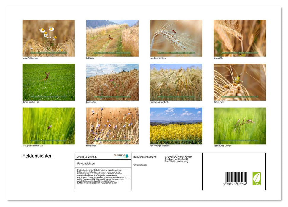 Feldansichten (CALVENDO Premium Wandkalender 2026)