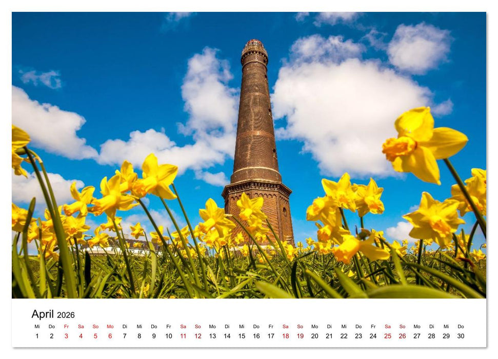 Insel Borkum - Ein Jahr zwischen Wind und Wellen (CALVENDO Premium Wandkalender 2026)