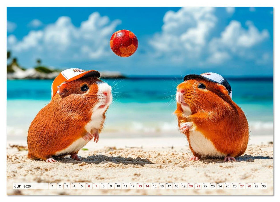 Meerschweinchen - Hauptsache Urlaub (CALVENDO Premium Wandkalender 2026)