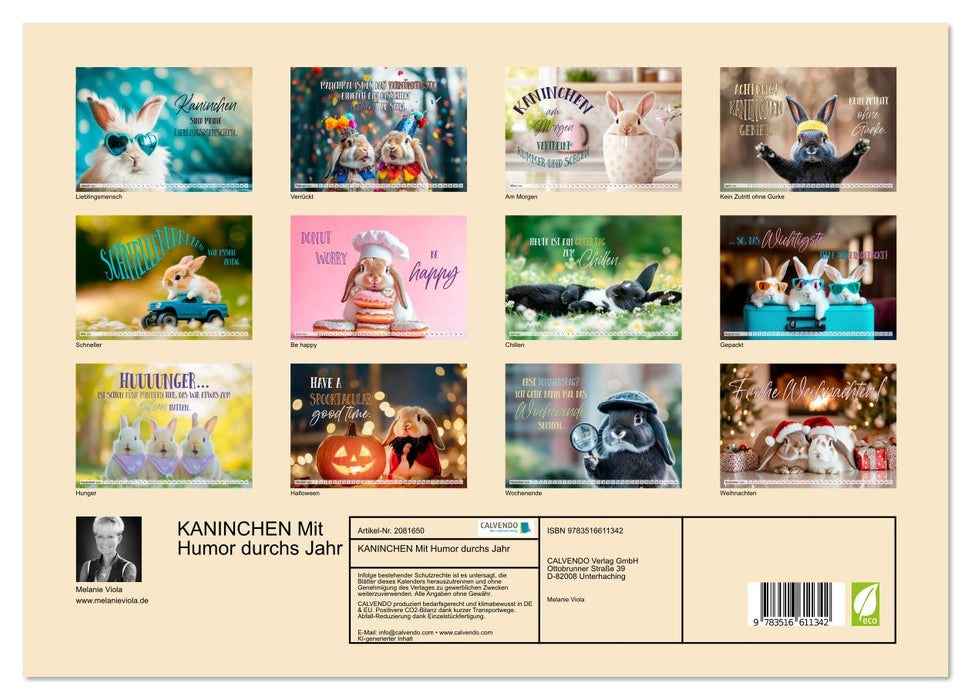 KANINCHEN Mit Humor durchs Jahr (CALVENDO Premium Wandkalender 2026)