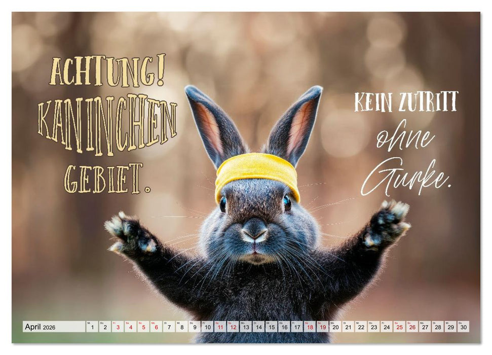 KANINCHEN Mit Humor durchs Jahr (CALVENDO Premium Wandkalender 2026)