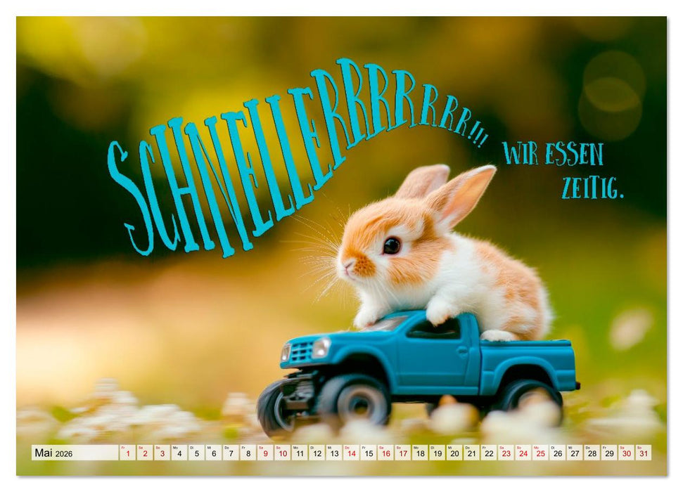 KANINCHEN Mit Humor durchs Jahr (CALVENDO Premium Wandkalender 2026)