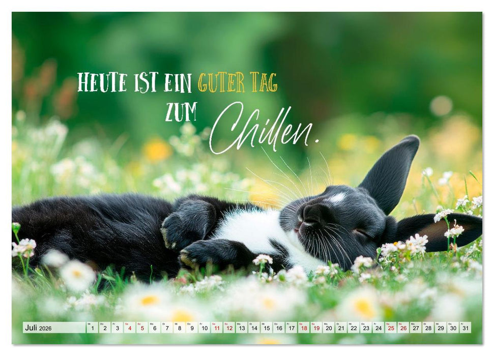 KANINCHEN Mit Humor durchs Jahr (CALVENDO Premium Wandkalender 2026)