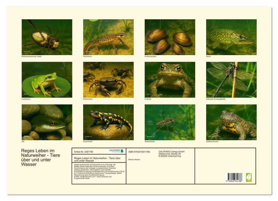 Reges Leben im Naturweiher - Tiere über und unter Wasser (CALVENDO Wandkalender 2026)