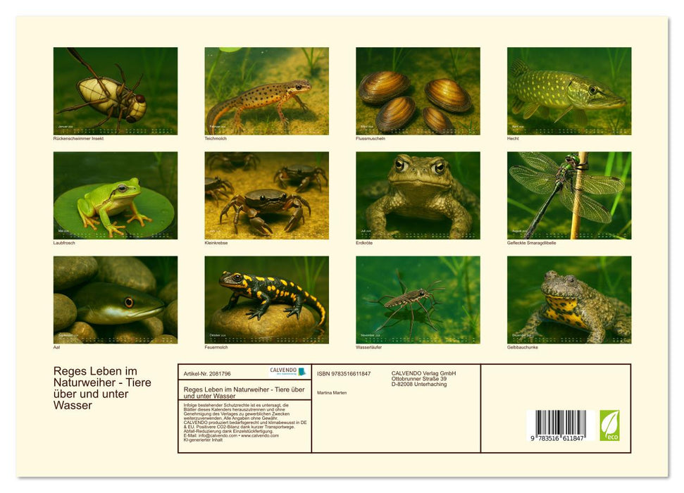 Reges Leben im Naturweiher - Tiere über und unter Wasser (CALVENDO Premium Wandkalender 2026)