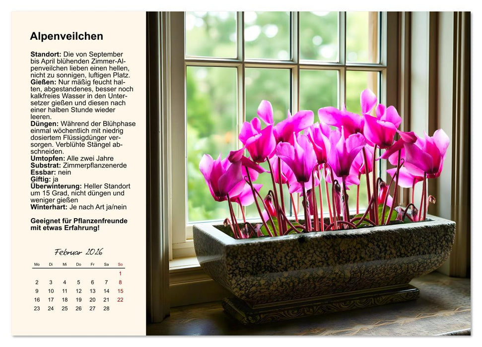 Bestes Raumklima durch Zimmerpflanzen (CALVENDO Wandkalender 2026)