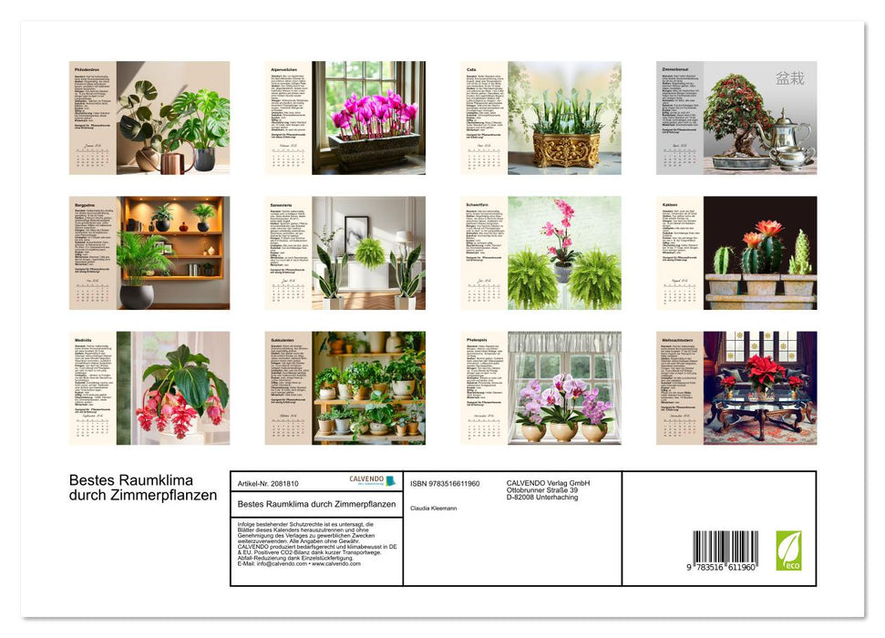 Bestes Raumklima durch Zimmerpflanzen (CALVENDO Premium Wandkalender 2026)