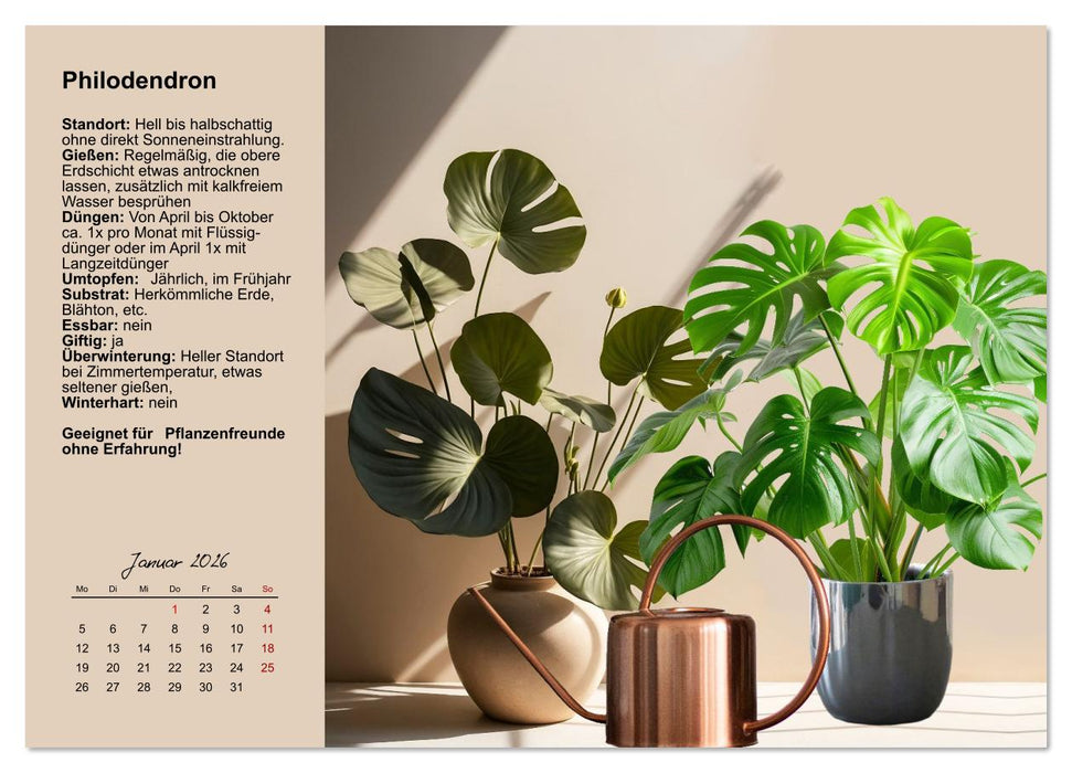 Bestes Raumklima durch Zimmerpflanzen (CALVENDO Premium Wandkalender 2026)