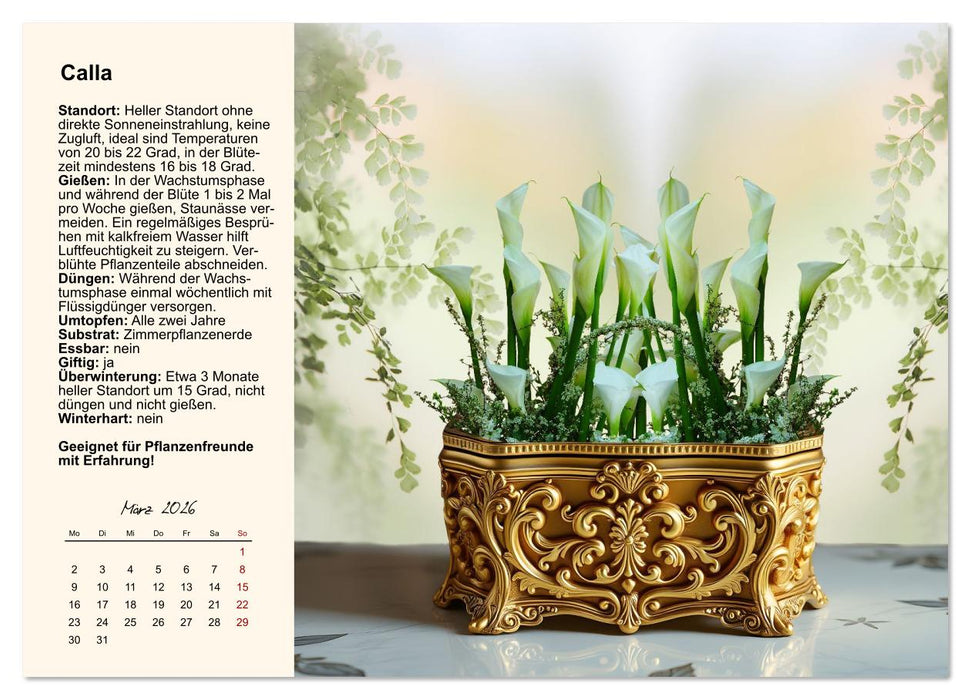 Bestes Raumklima durch Zimmerpflanzen (CALVENDO Premium Wandkalender 2026)