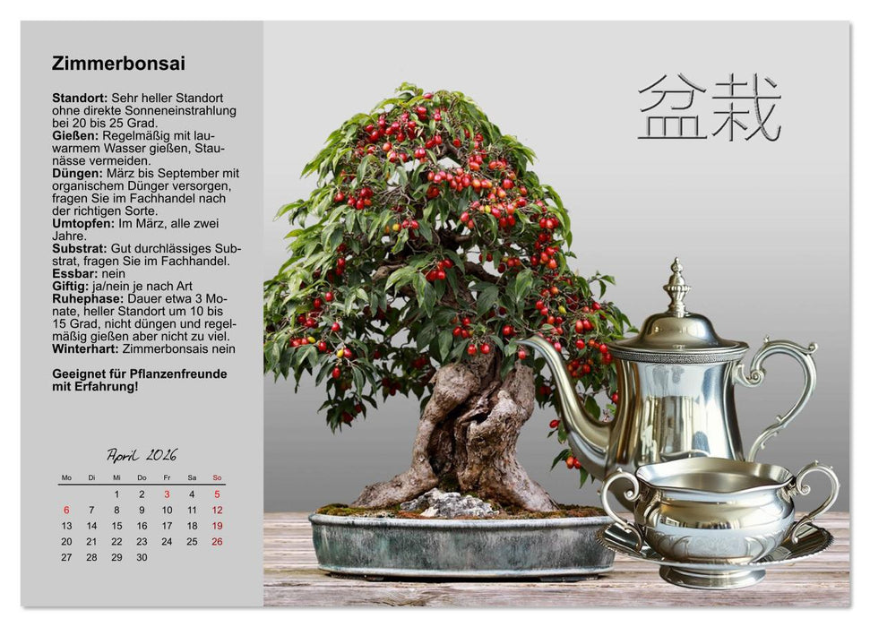 Bestes Raumklima durch Zimmerpflanzen (CALVENDO Premium Wandkalender 2026)