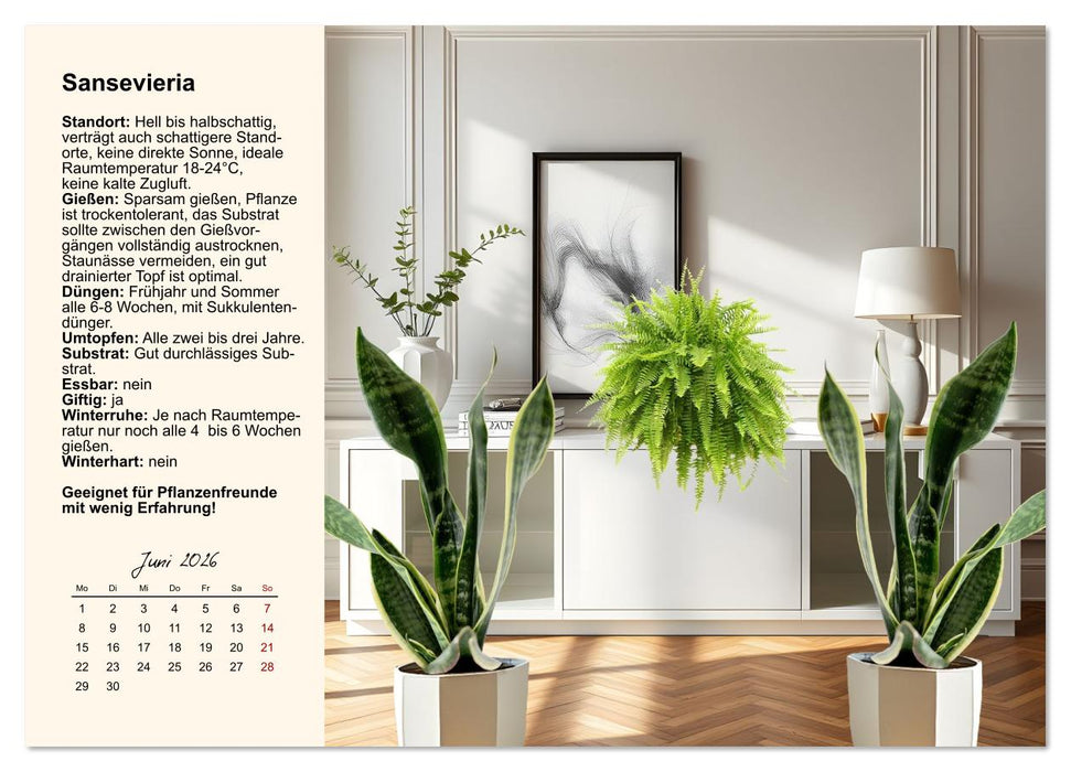 Bestes Raumklima durch Zimmerpflanzen (CALVENDO Premium Wandkalender 2026)