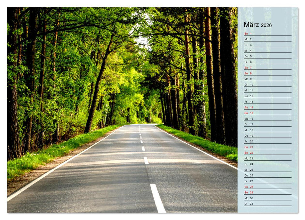 Friedliche Einsamkeit: Natur in ihrer stillen Pracht (CALVENDO Wandkalender 2026)