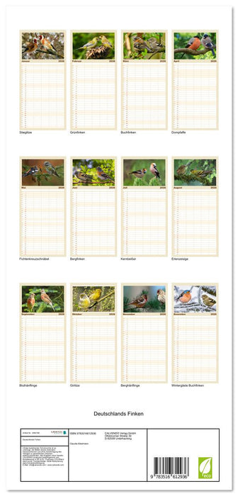 Deutschlands Finken (CALVENDO Familienplaner 2026)