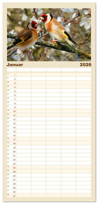 Deutschlands Finken (CALVENDO Familienplaner 2026)