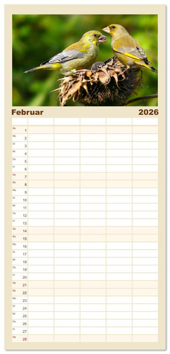 Deutschlands Finken (CALVENDO Familienplaner 2026)